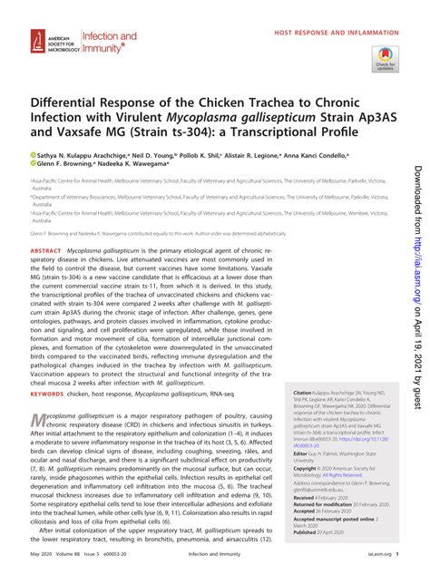 measurement of mucosal thickness of trachea mycoplasma|Differential Response of the Chicken Trachea to Chronic Infection .